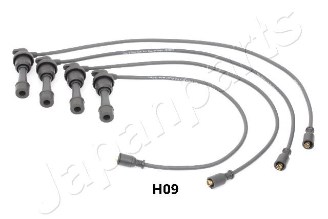 IC-H09