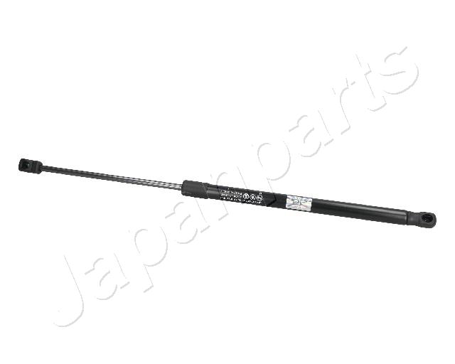 ZS09097