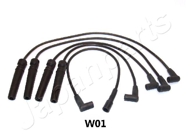 IC-W01
