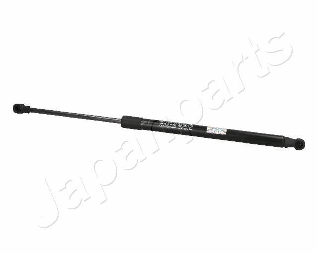 ZS02065