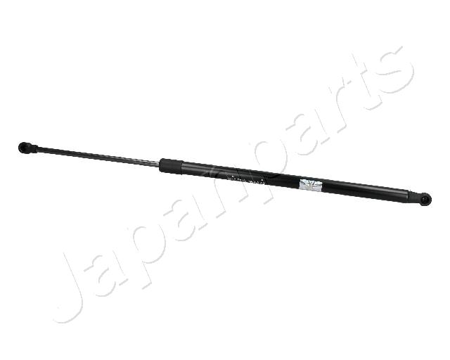 ZS10019