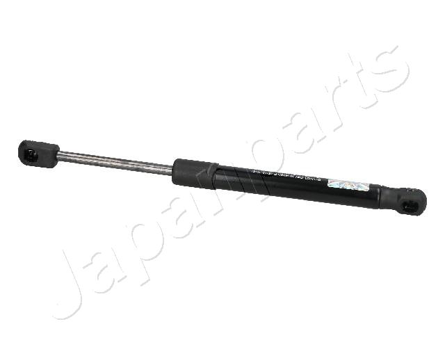 ZS09047