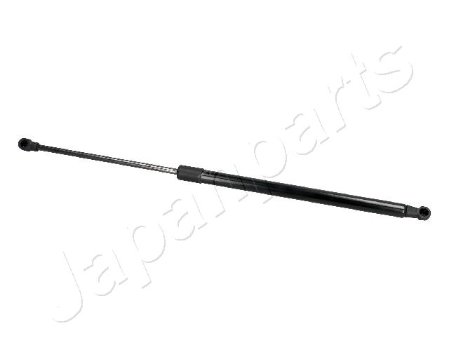 ZS10018
