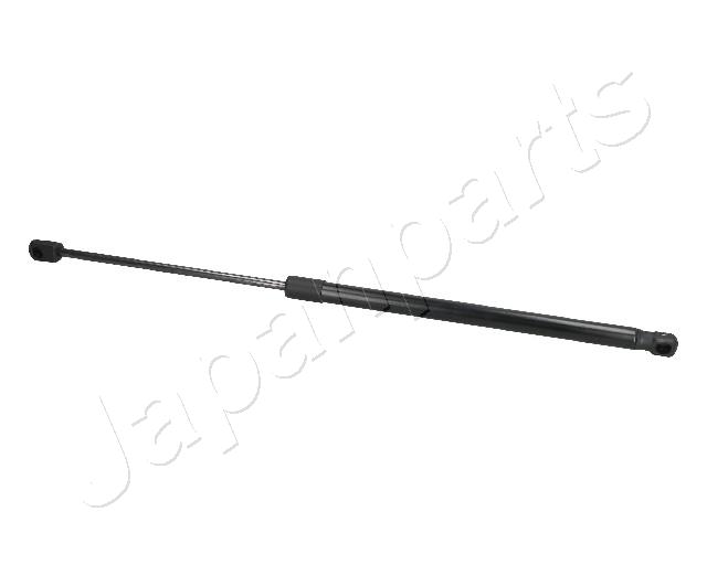 ZS09064