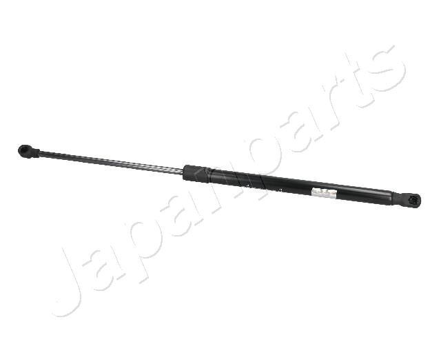ZS09024