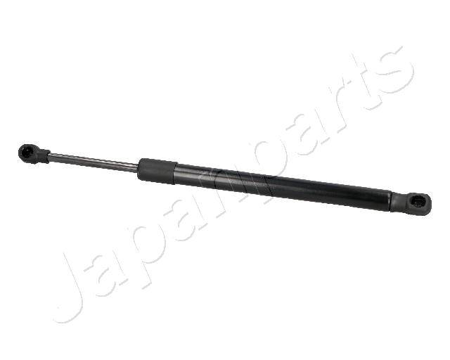 ZS09197