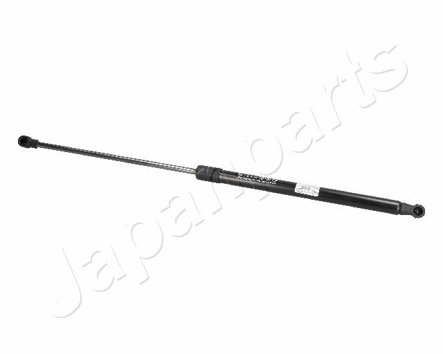 ZS01079