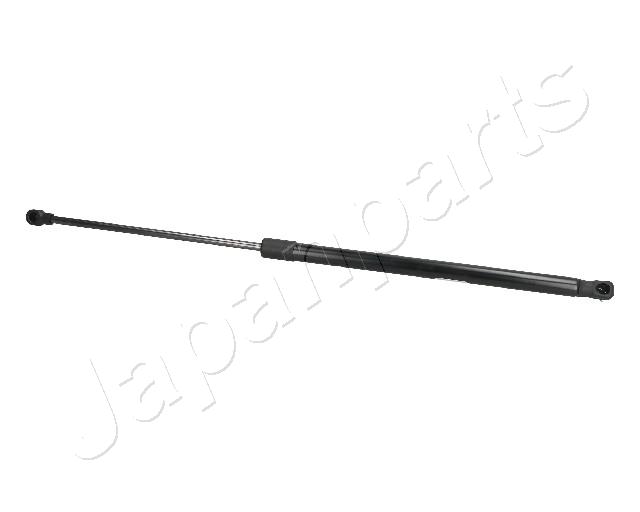 ZS09084