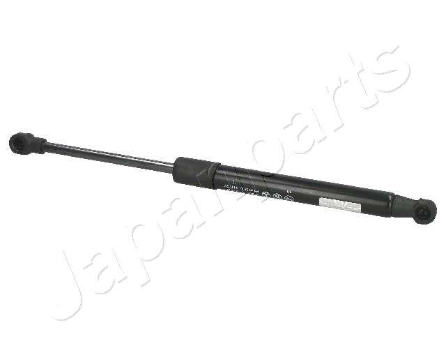 ZS01030