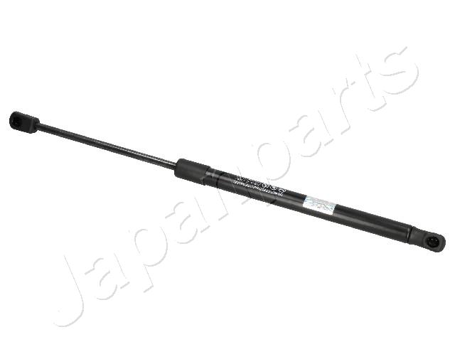 ZS07022
