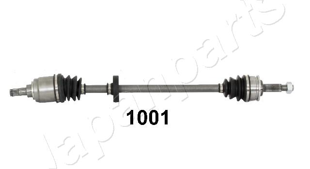GI1001