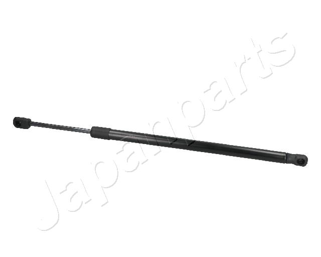 ZS09054