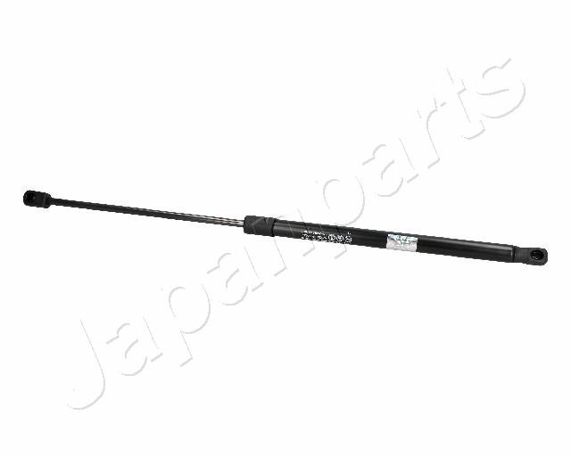 ZS06022