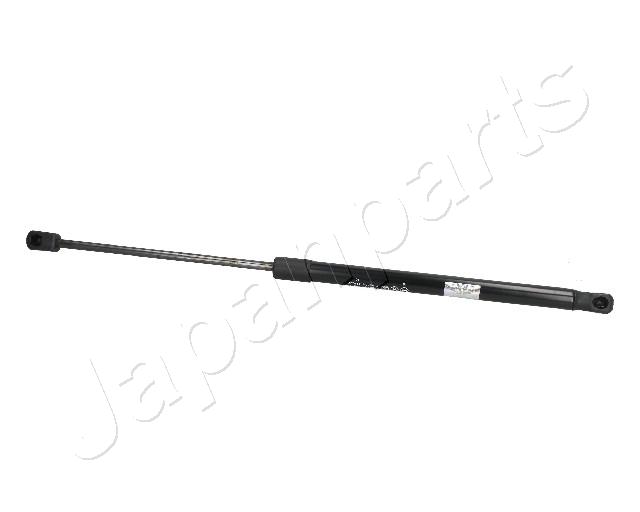 ZS09077