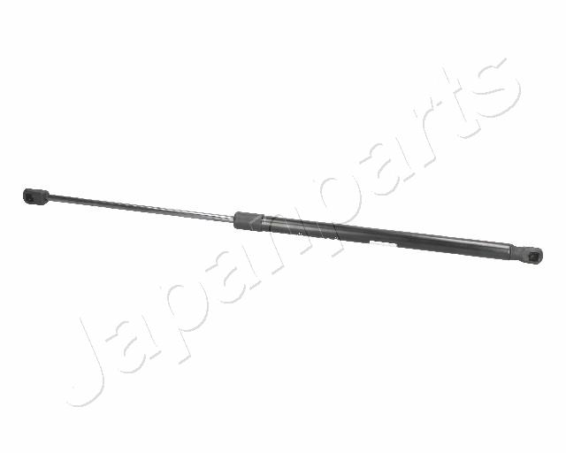 ZS09161