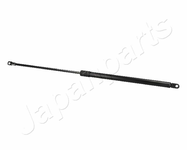 ZS06036