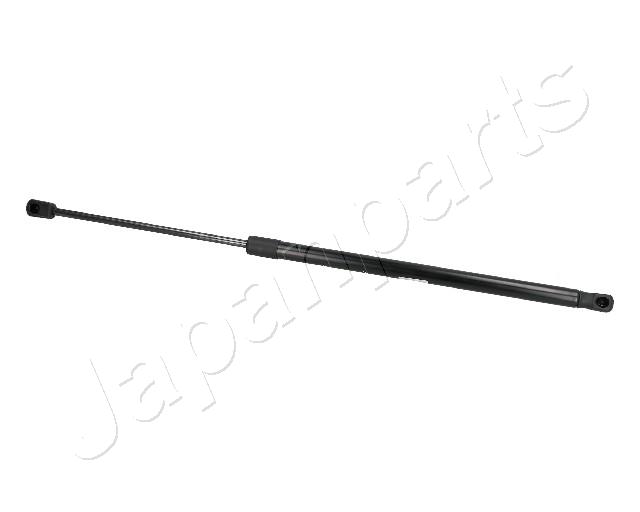 ZS10013