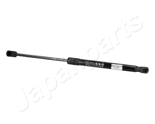 ZS09167