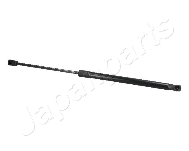 ZS09204