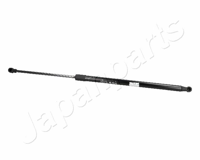 ZS06099