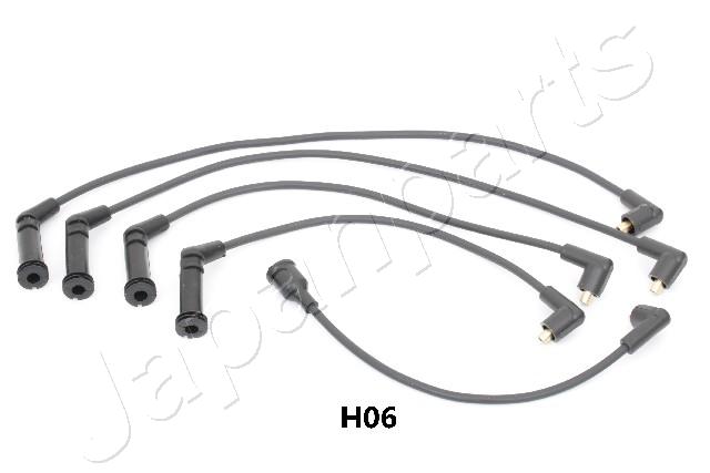 IC-H06