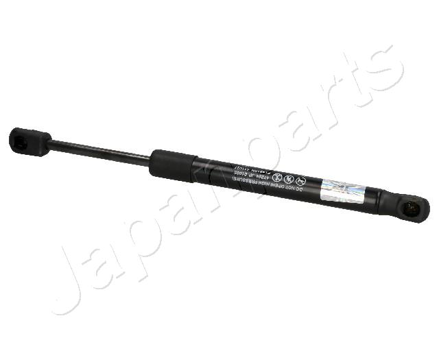 ZS01095