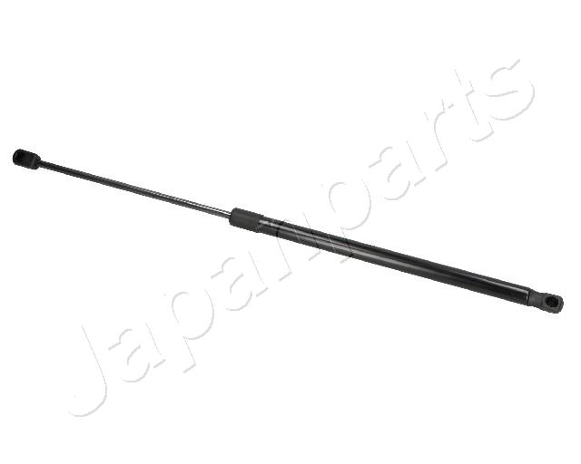 ZS07007