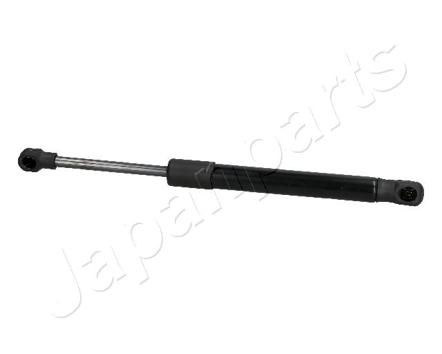 ZS30009