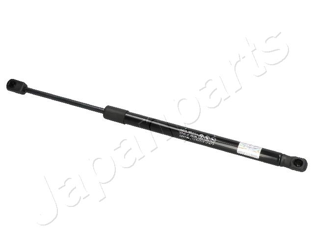 ZS07052
