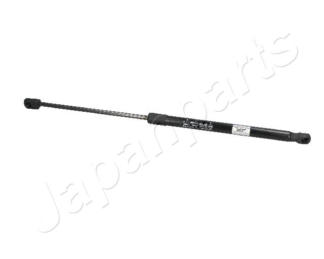 ZS09029