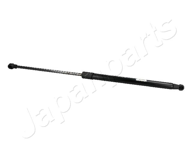 ZS06000