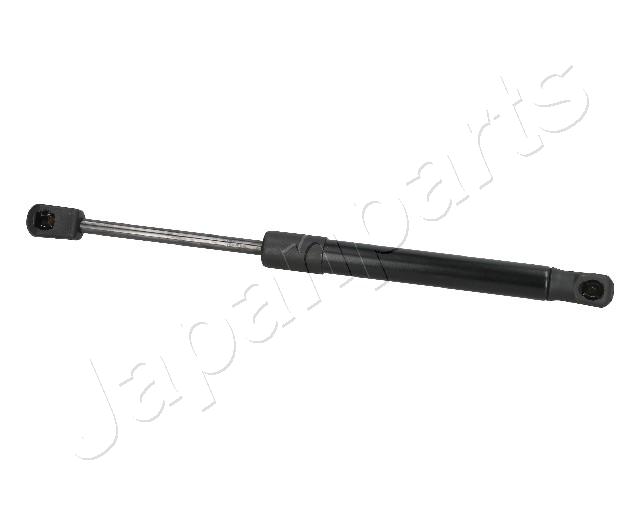 ZS09110