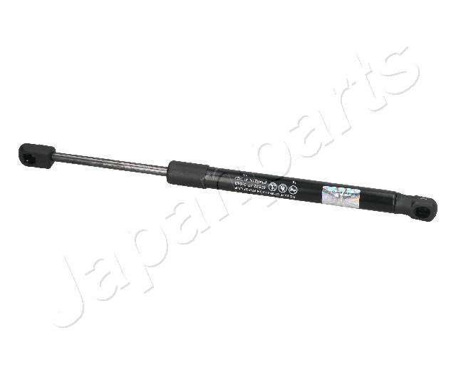 ZS09043