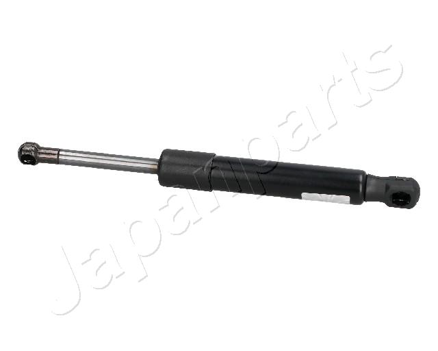 ZS05009