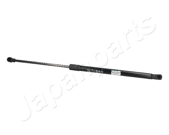 ZS09069