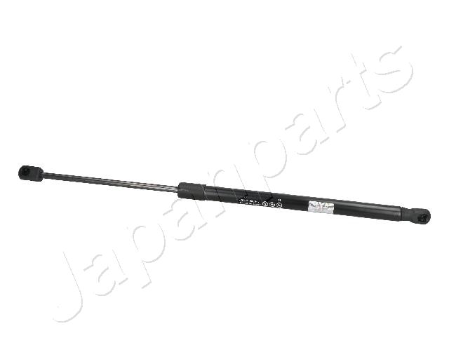 ZS09078