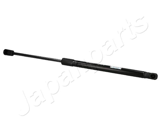 ZS06018
