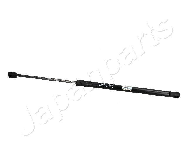 ZS10034