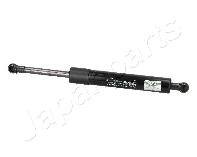 ZS03095