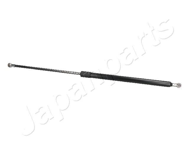 ZS09028
