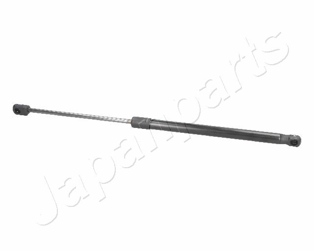 ZS09145