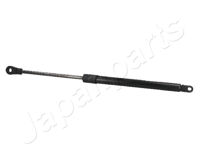 ZS09160