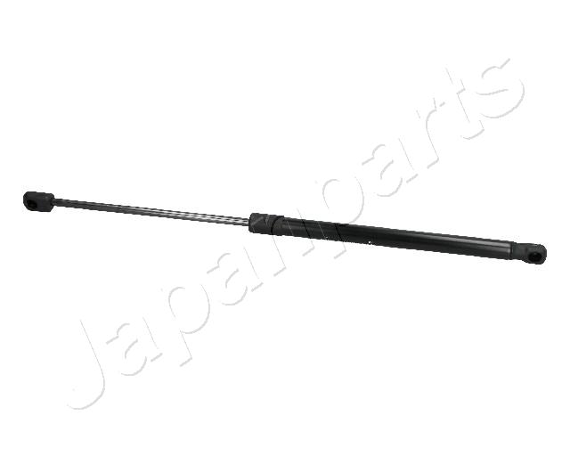 ZS10024