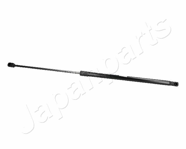 ZS06079