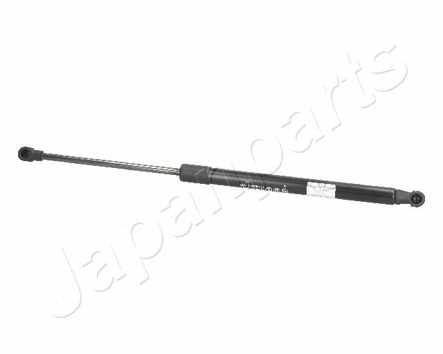 ZS02008