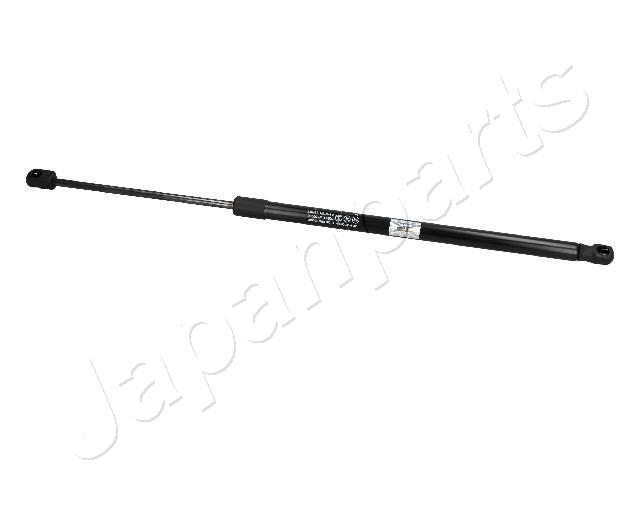 ZS30006