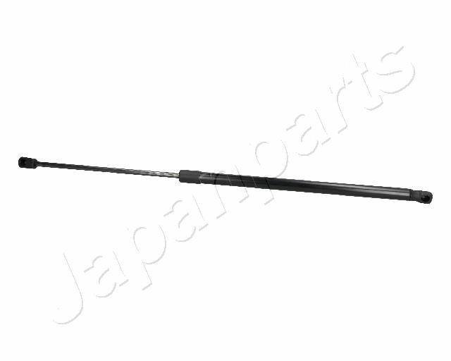 ZS06065