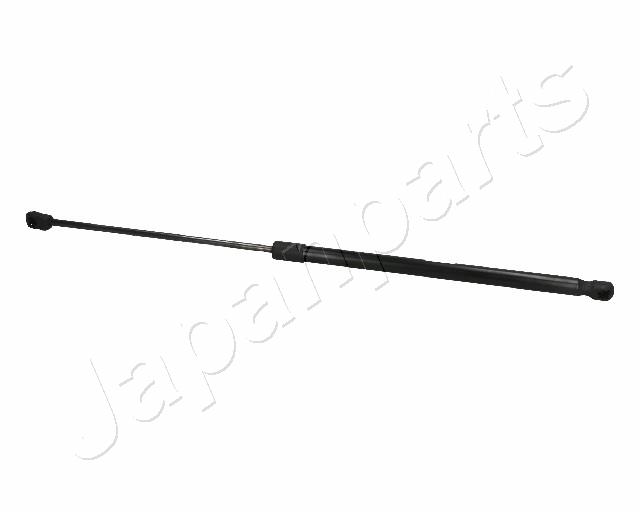 ZS06061