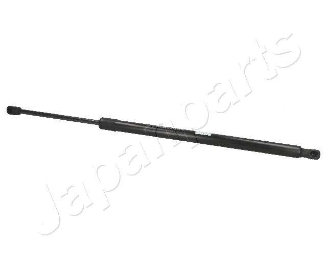 ZS00017