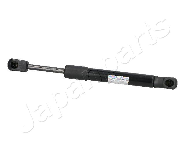 ZS09102